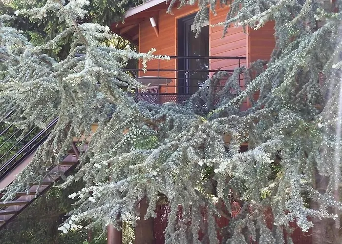 Cabane perchée avec lit king-size, salle d'eau, kitchenette, TV, Wi-Fi et petit-déjeuner inclus - FR-1-306-1237